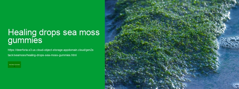 sea moss gummy recipe